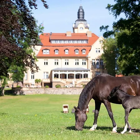 Haus 4 Hébergement de vacances Wendorf (Kuhlen-Wendorf)
